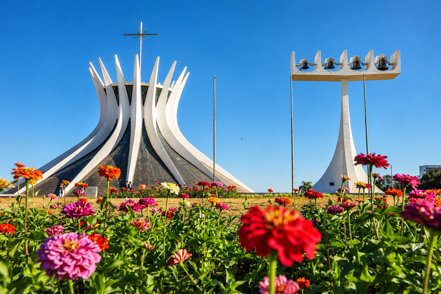 A Catedral de Brasília em cena inteira: a coroa de concreto erguendo do canteiro de flores, com o campanário ao lado, sob o céu azul da manhã